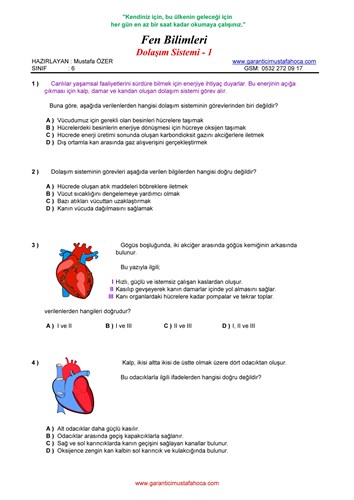 6.Sınıf Dolaşım Sistemi - 1