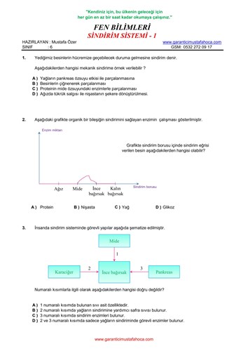 6.Sınıf Sindirim Sistemi - 1