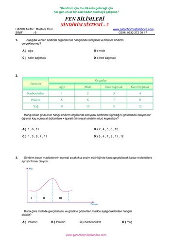 6.Sınıf Sindirim Sistemi - 2