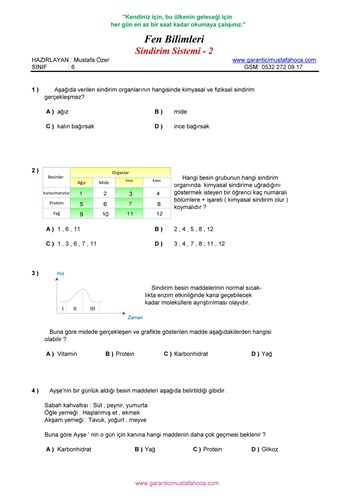 6.Sınıf Sindirim Sistemi - 2