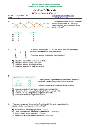 DNA  ve Genetik Kod - 12