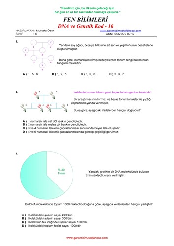 DNA  ve Genetik Kod - 16