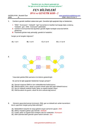 DNA ve Genetik Kod - 2