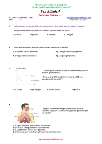 Solunum Sistemi - 1